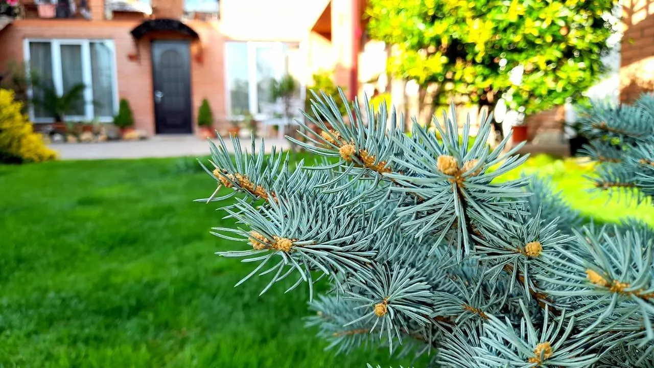 Green Garden Tbilisi 0*,