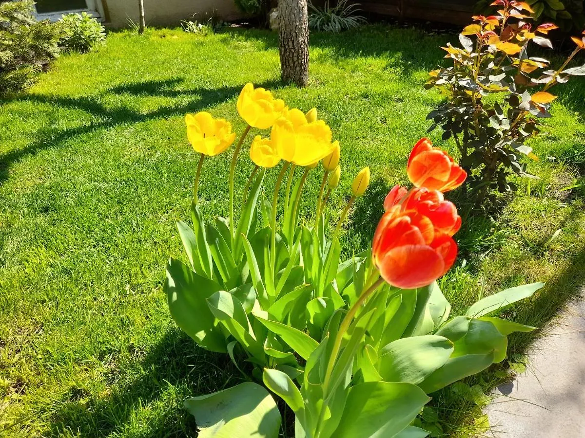 Green Garden Tbilisi